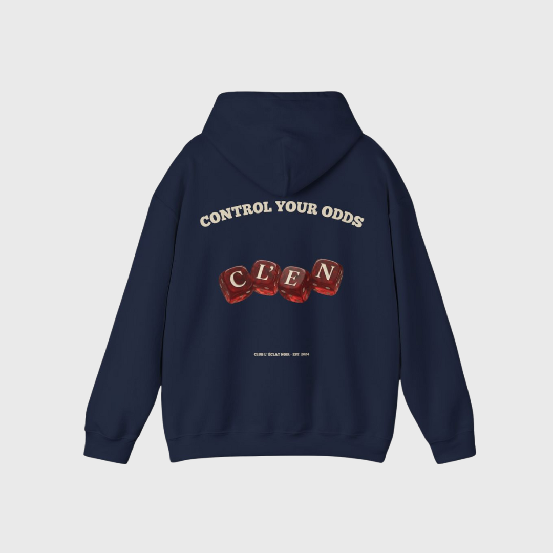 CALCULATED RISK Hoodie